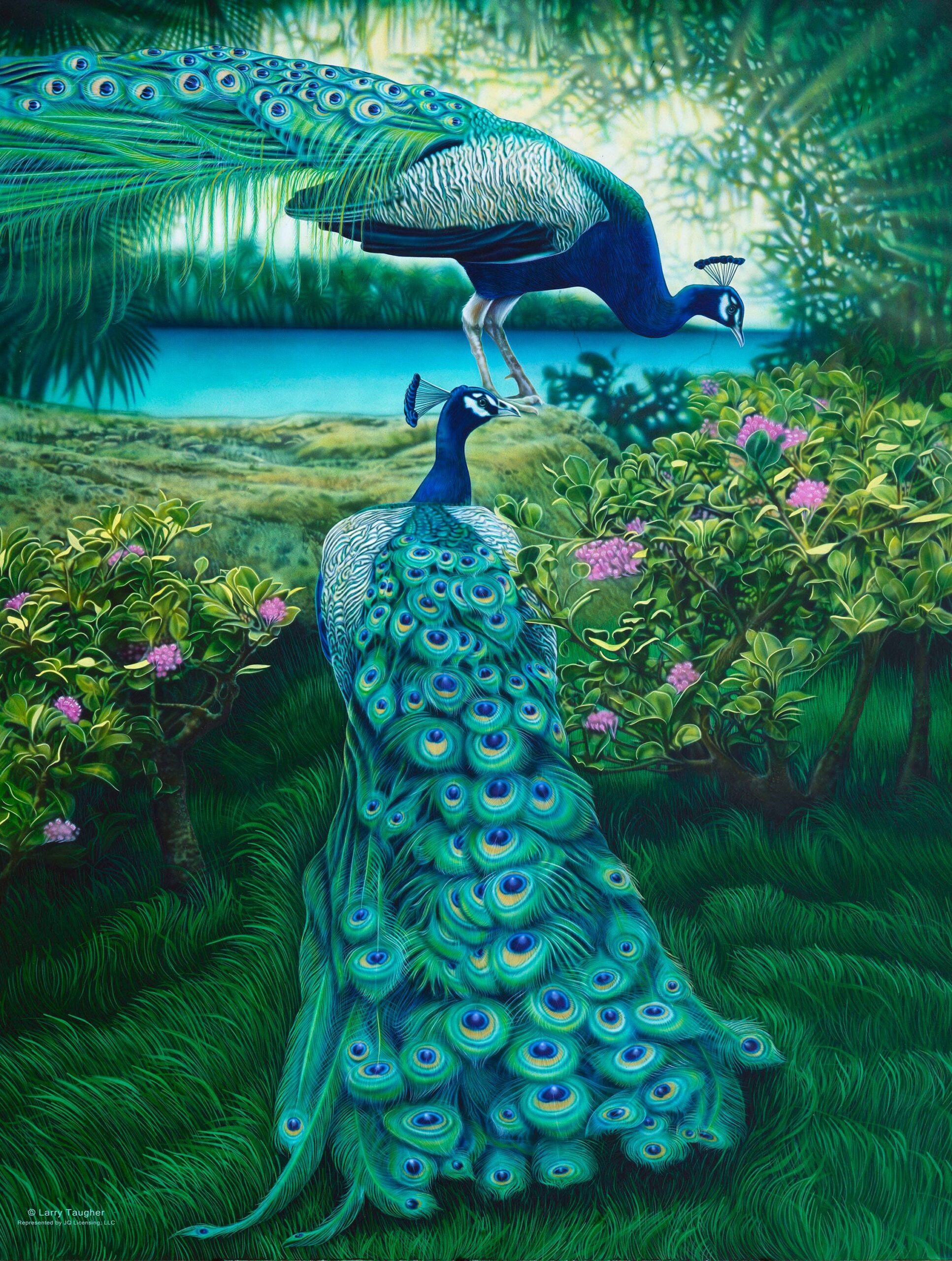 0968 A Pair of Peacocks 500 pc Puzzle