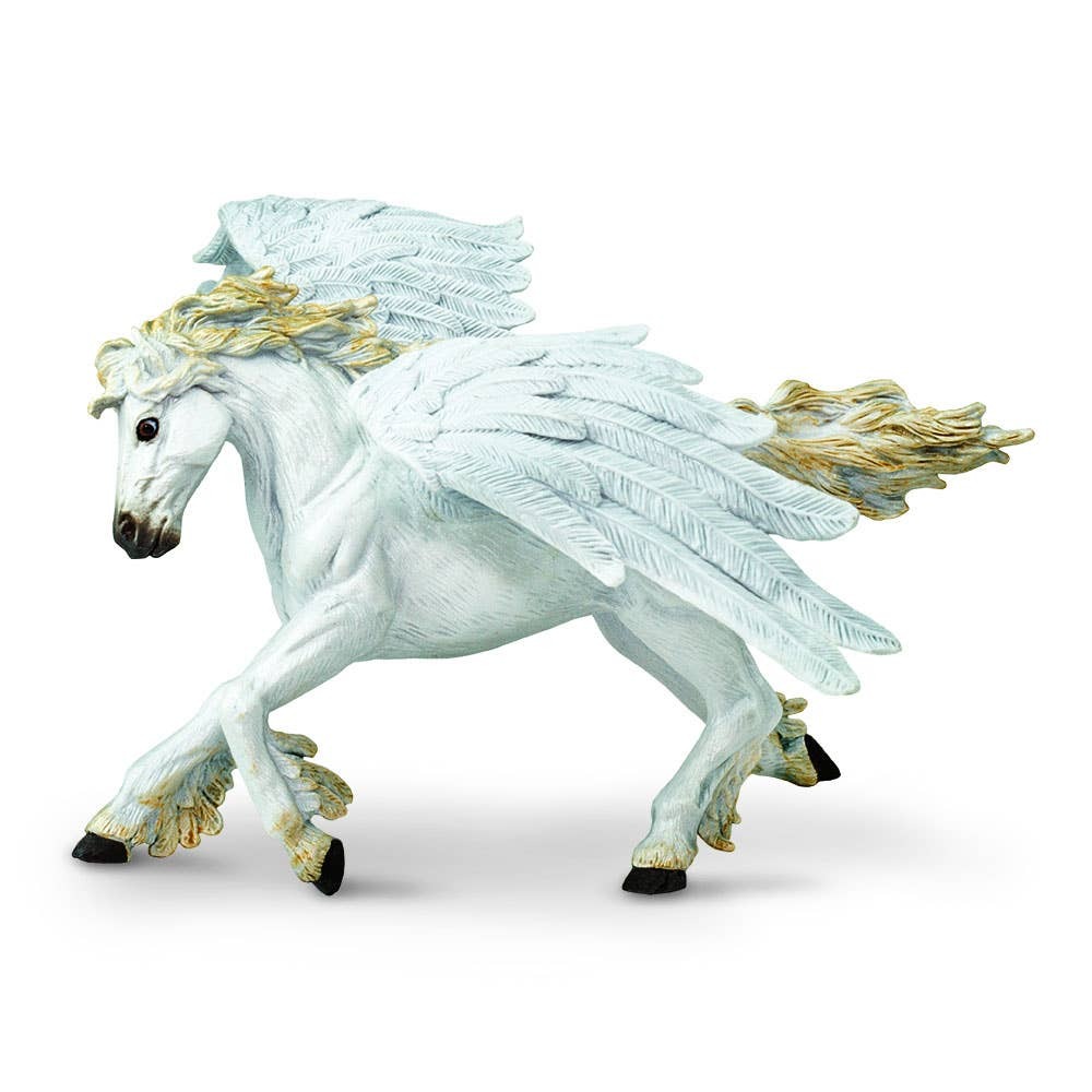 Pegasus – 800729