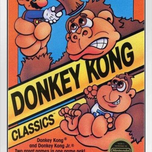 Donkey Kong Classics NES