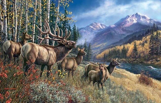 0524 Elk Anthem 1000 pc Puzzle
