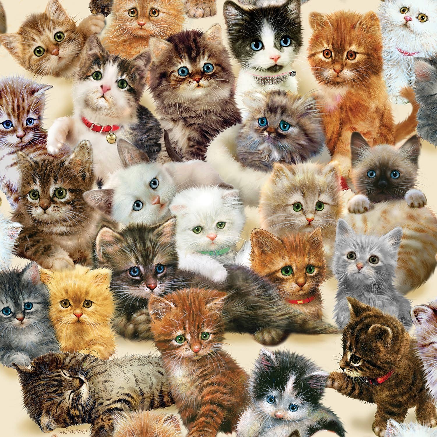 0149 Kittens for the Taking 500 pc Puzzle