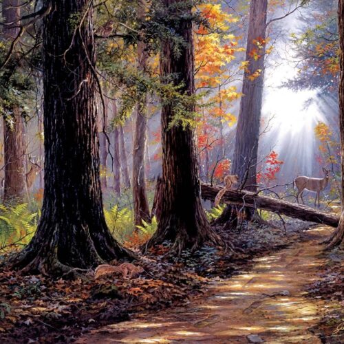 0770 Peaceful Path 500 pc Puzzle