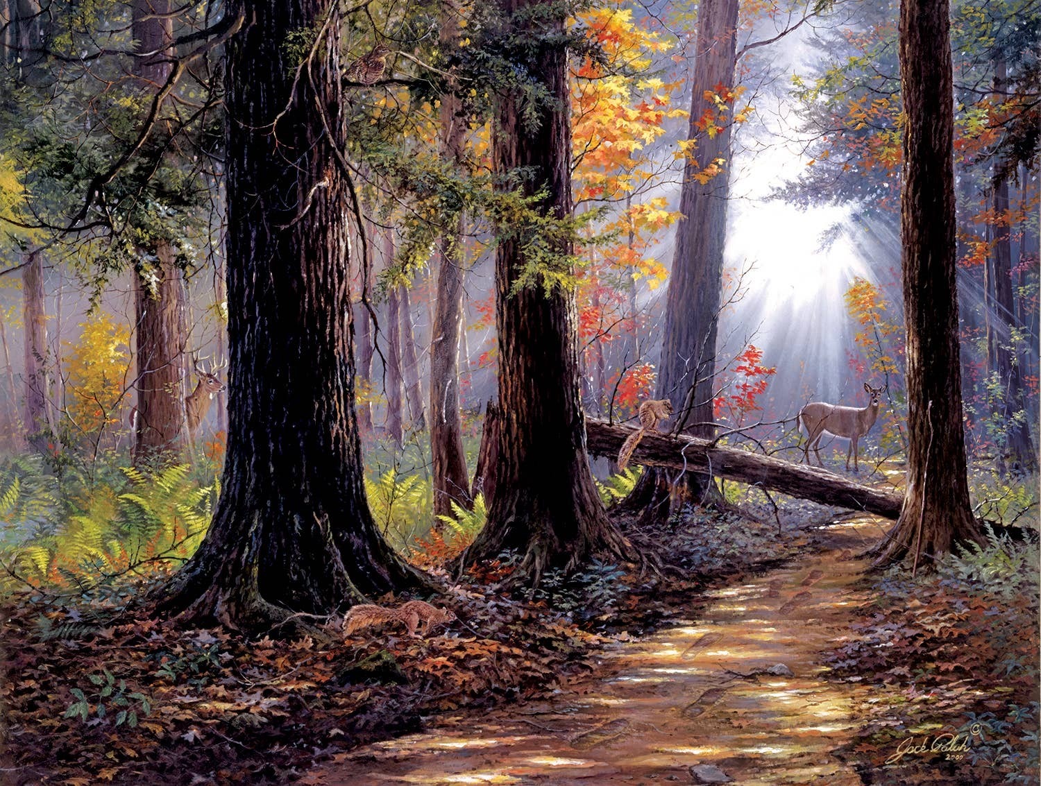 0770 Peaceful Path 500 pc Puzzle