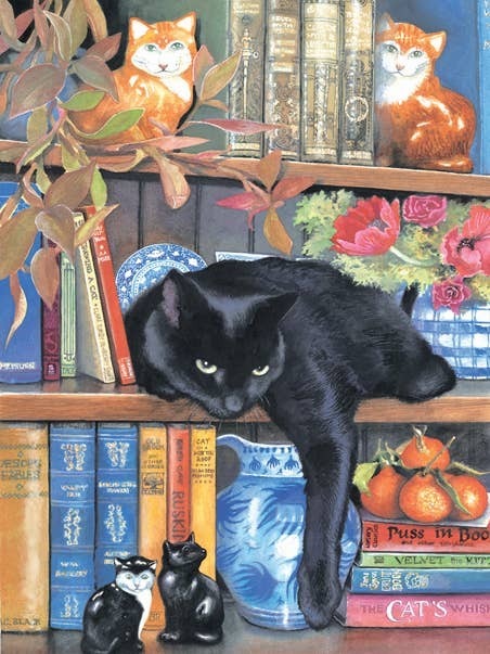 0783 On the Shelf 1000 pc Puzzle